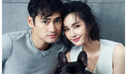 黄瓜娱乐圈爆料吃瓜明星,娱乐圈黄瓜爆料，明星吃瓜大揭秘