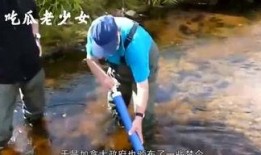 娱乐吃瓜老少女是谁啊