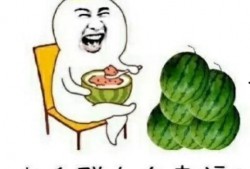 吃瓜娱乐圈动漫,动漫圈里的明星风云录