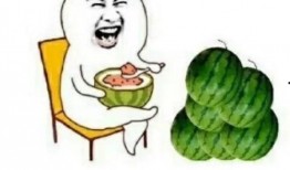 吃瓜娱乐圈动漫,动漫圈里的明星风云录