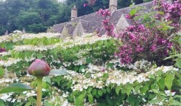 遛鸟大师娱乐吃瓜君,揭秘娱乐圈幕后趣闻