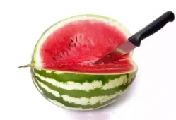 娱乐吃瓜酱属于什么领域