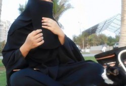 娱乐吃瓜君团,娱乐圈幕后那些事儿