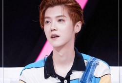 鹿晗在娱乐圈吃瓜,揭秘明星背后的故事与真相